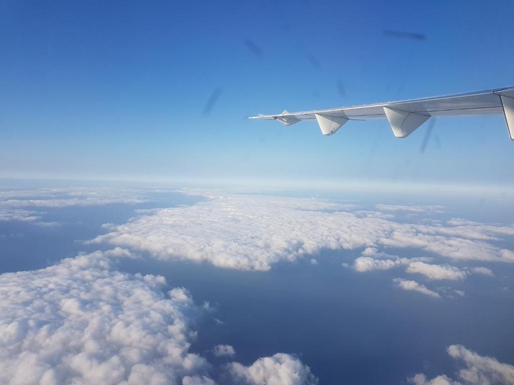 芹壁五家村民宿評價、藍眼淚導覽、手作早餐、接送服務 – 海景秘境體驗 - 照片 19