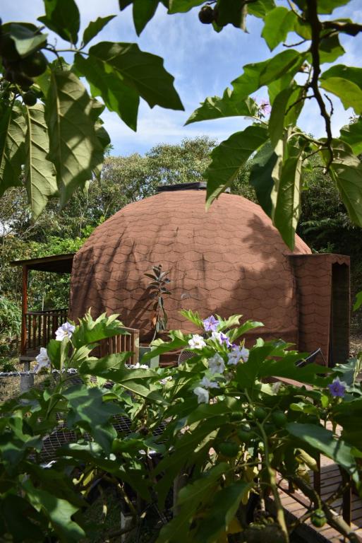 Zahrada ubytování Tambo Eco Hotel