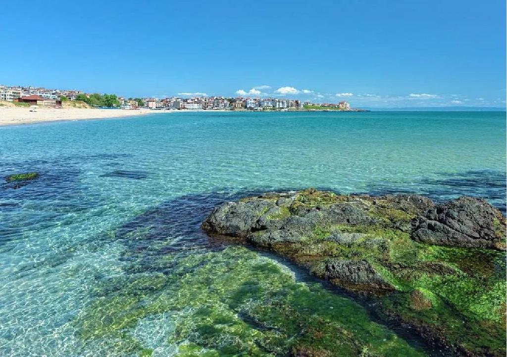 a beach with a rock in the water at Apart-Hotel Onegin & Thermal Zone in Sozopol