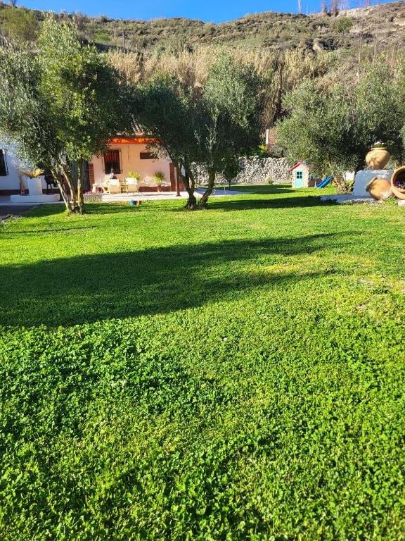 a field of green grass with trees in the background at Cortijo Batán in Dúdar