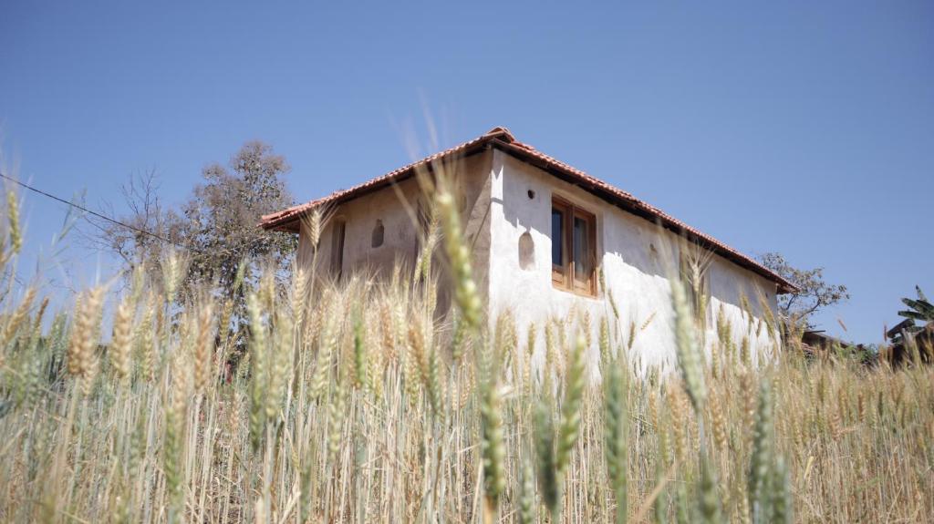 Fotografie z fotogalerie ubytování Maathrila The Satpura Homestay v destinaci Sohāgpur