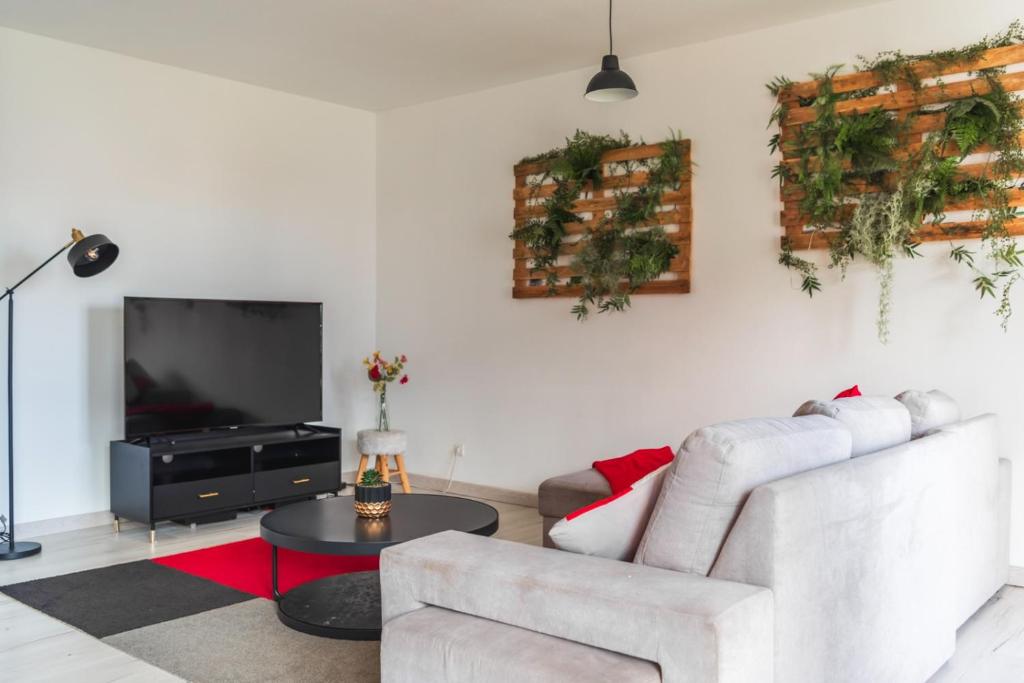 TV a/nebo společenská místnost v ubytování Le Solaris 3 chambres avec 2 grands lits et 3 simples