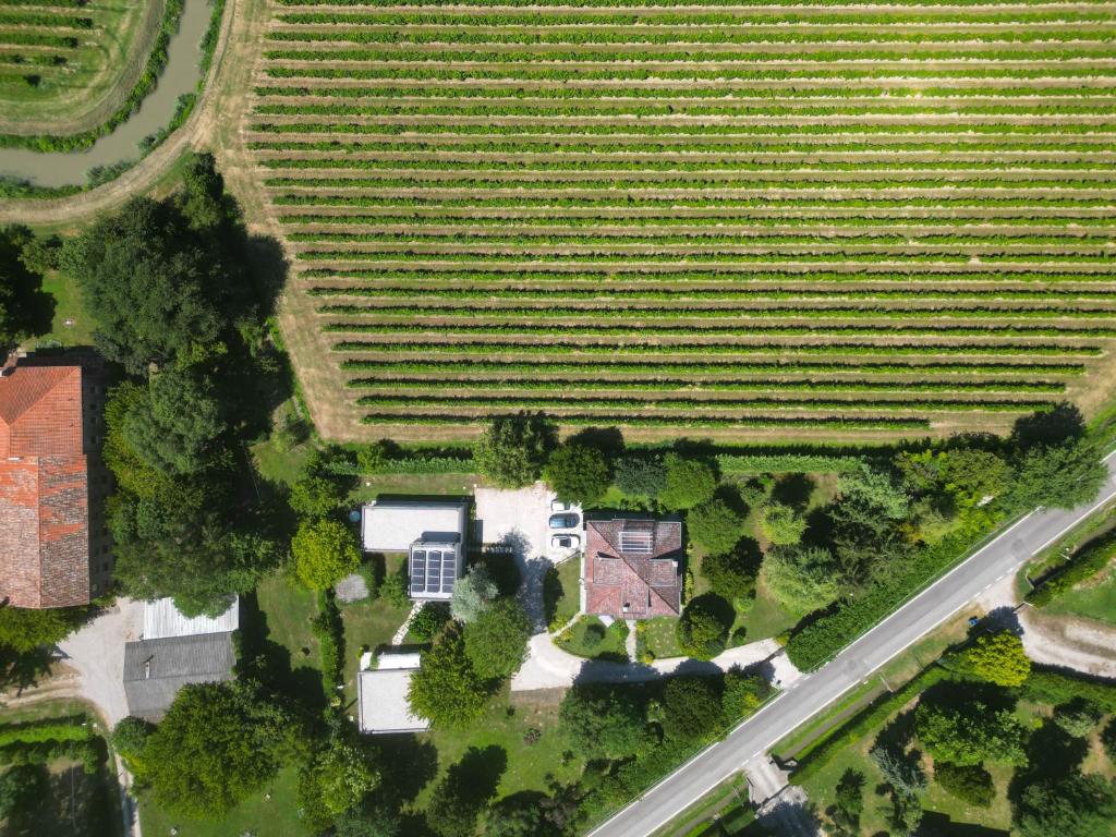 Příroda nedaleko bed and breakfast