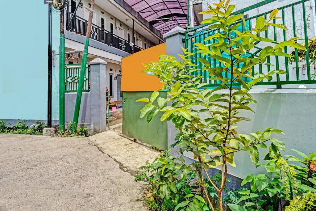 Zahrada ubytování OYO 92269 Arjuna Homestay