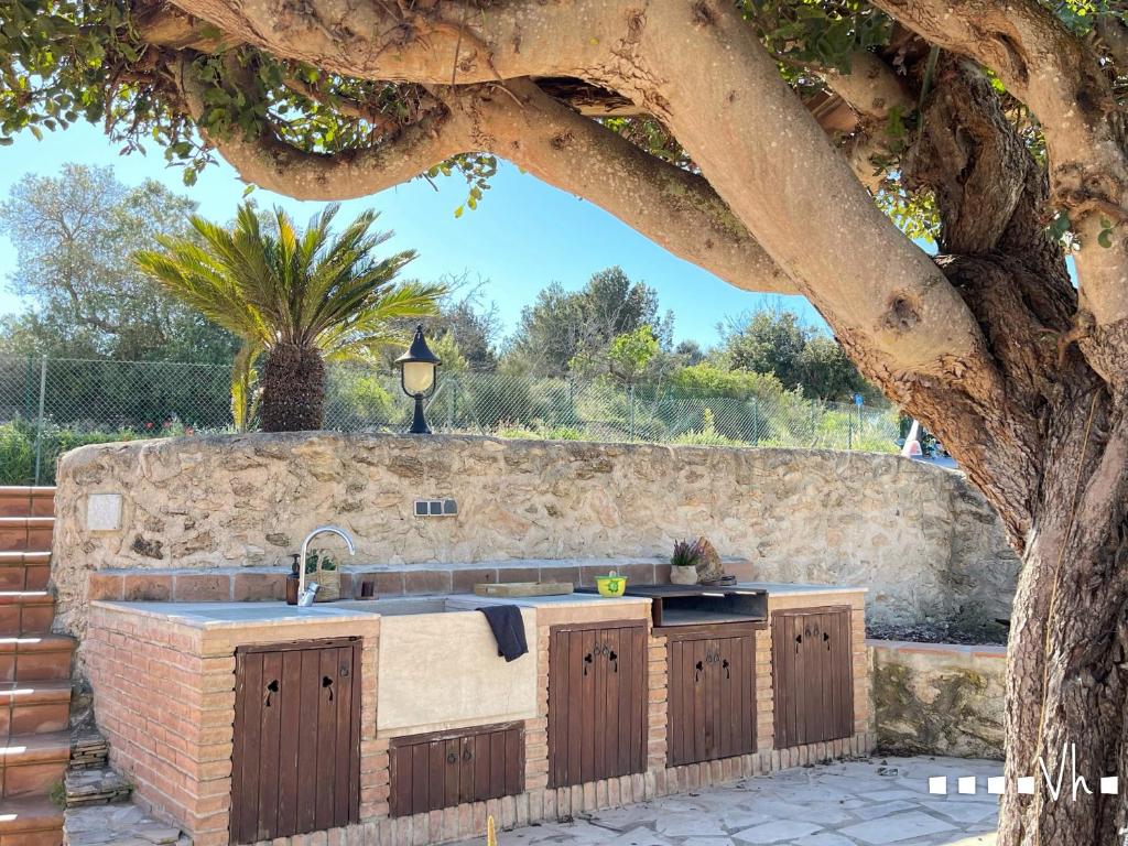 Vonkajšia záhrada v ubytovaní VH CostaBlanca - LLAGRIMA
