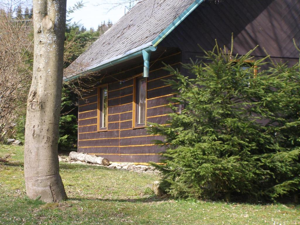 ein Blockhaus mit einem Baum davor in der Unterkunft Chata Dvorečná in Loučovice