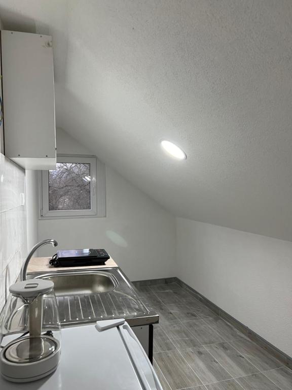 una cucina con lavandino e piano di lavoro di Apartmani Ćosić - Kuršumlijska banja a Kursumlijska Banja