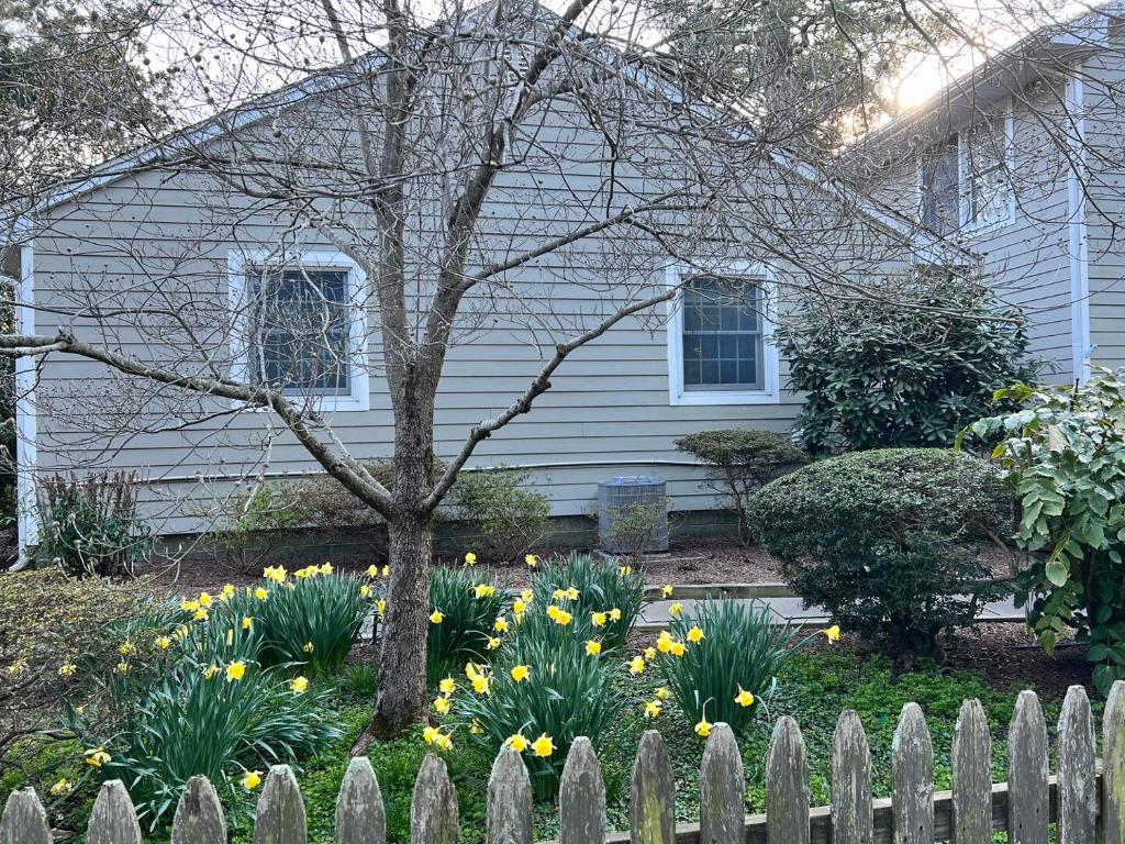 a white house with a white fence and yellow flowers at Oak avenue 33 in Rehoboth Beach