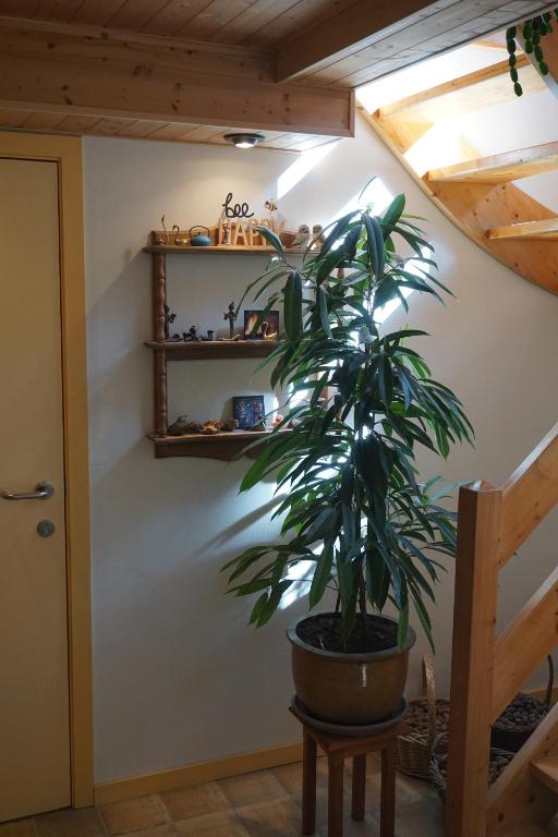 Fotografie z fotogalerie ubytování La petite source v destinaci Florenville