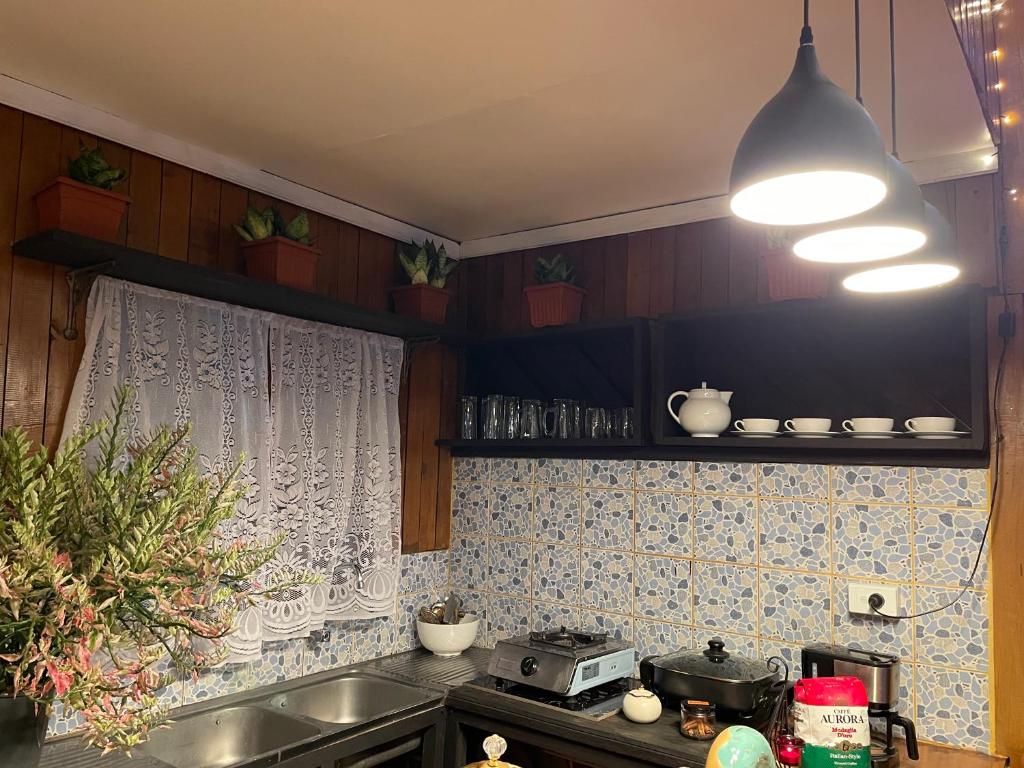 Kuchyň nebo kuchyňský kout v ubytování Treetops villa