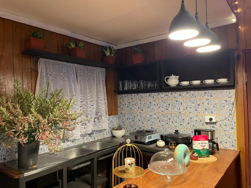Kuchyň nebo kuchyňský kout v ubytování Treetops villa