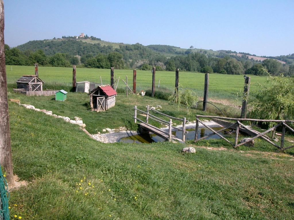 Táj Show holiday homes közelében