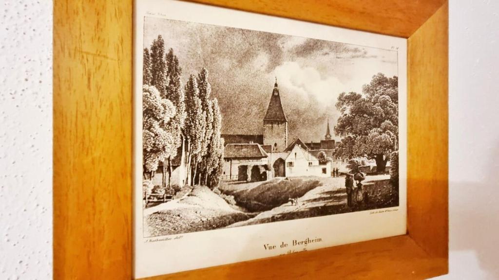 Gite A la Fontaine Bergheim – photo 12