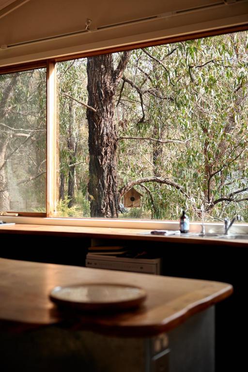 Foto dalla galleria di Rustic Treehouse - Aireys Inlet ad Aireys Inlet