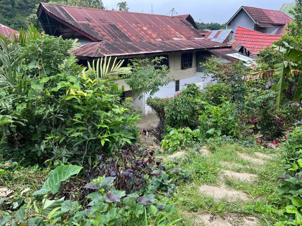 a garden in front of a house with a rusty roof at Mamasa Local House in Mamasa