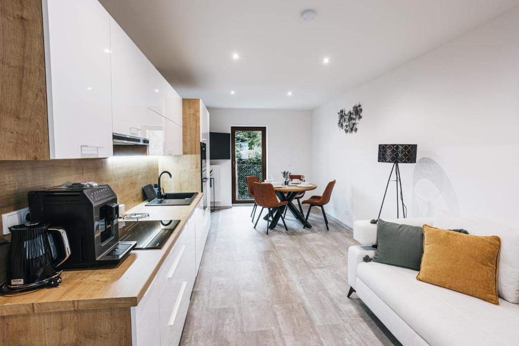 Kuchyň nebo kuchyňský kout v ubytování Apartmány Petra Voka