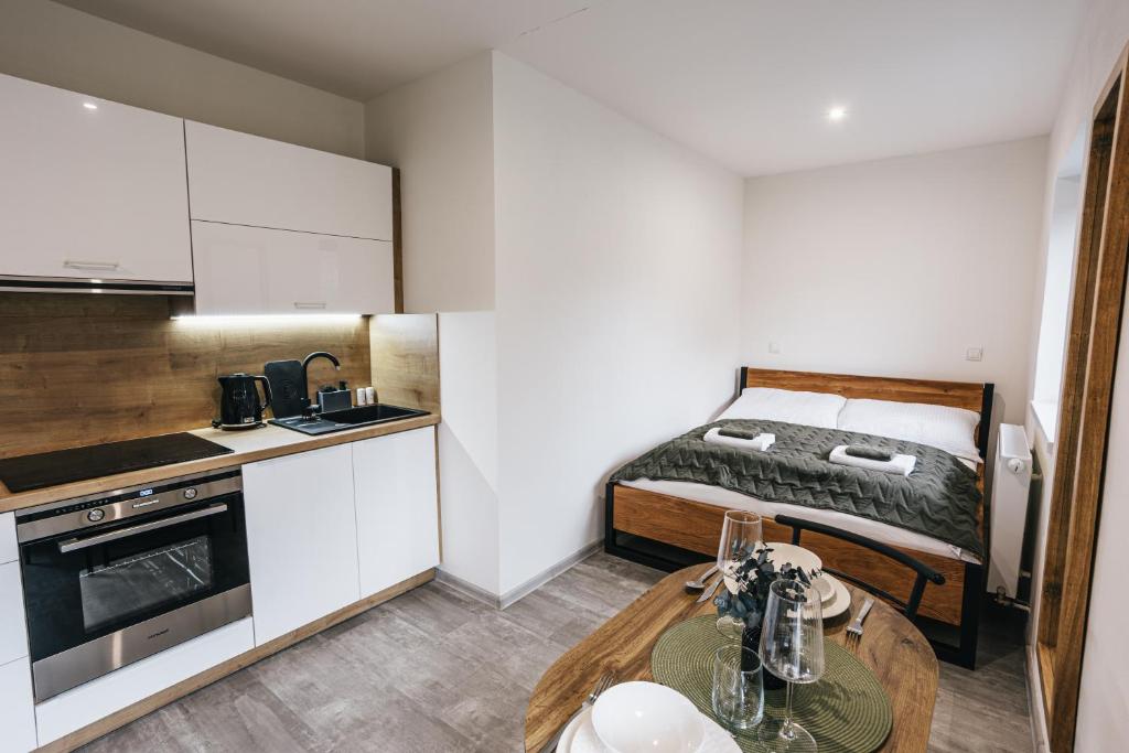 Kuchyň nebo kuchyňský kout v ubytování Apartmány Petra Voka