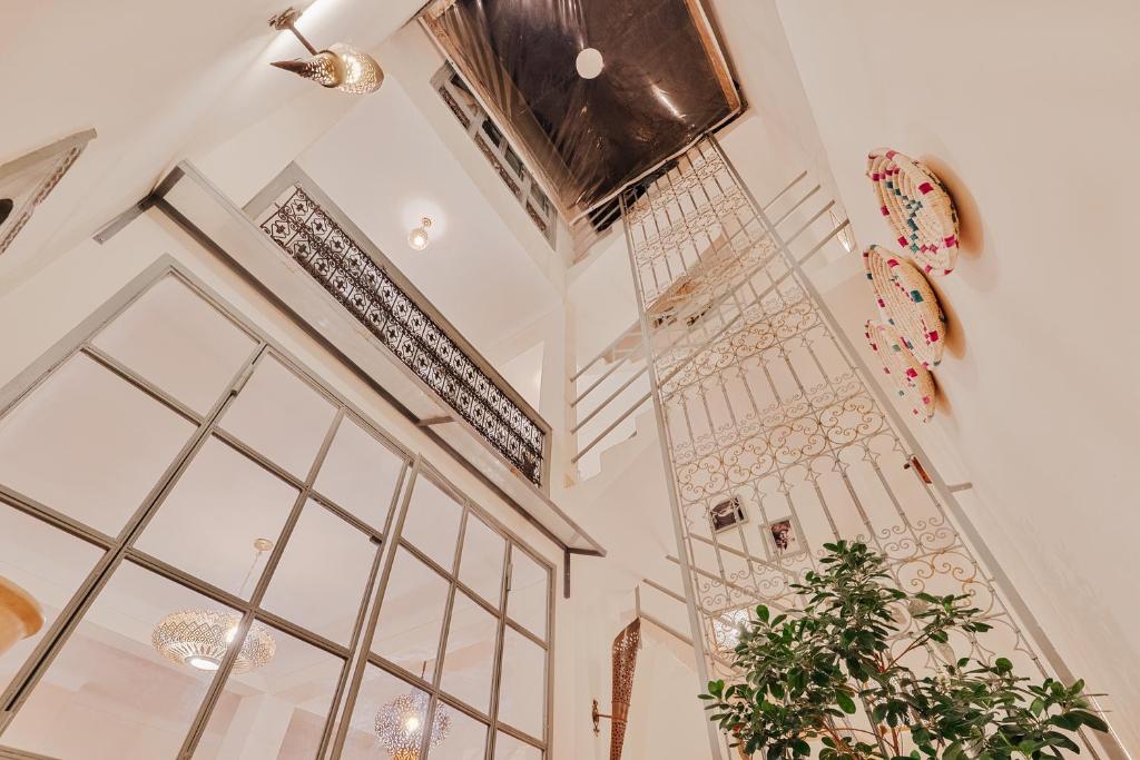 Riad Manaoui — photo 7