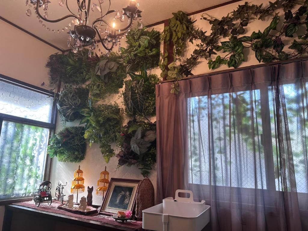 横浜市にあるMaharaniの壁に植物がたくさん並ぶ部屋