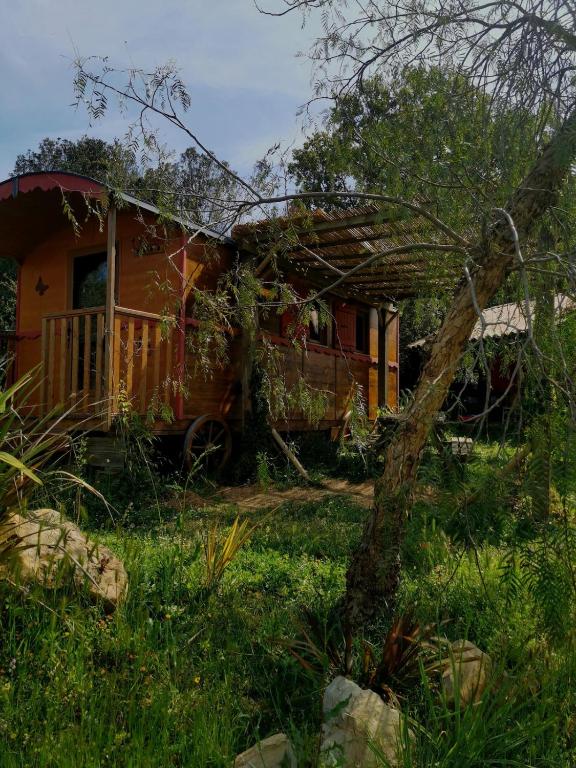 une maison assise dans l'herbe dans l'établissement Le nid des crinières vagabondes, à Oletta