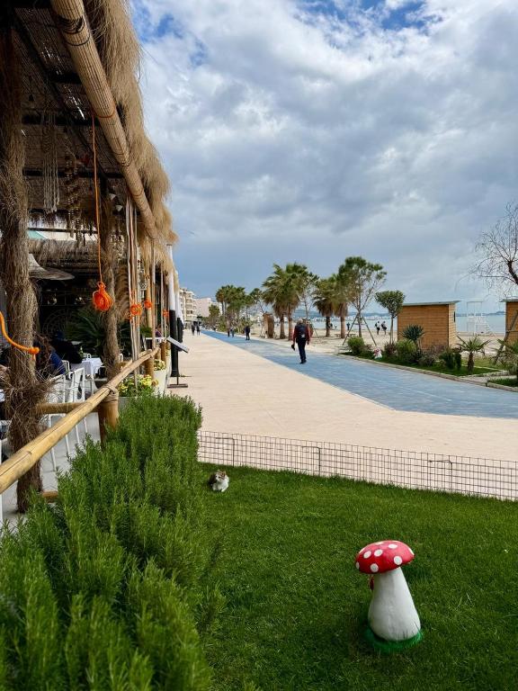 Zahrada ubytování Hotel Saly