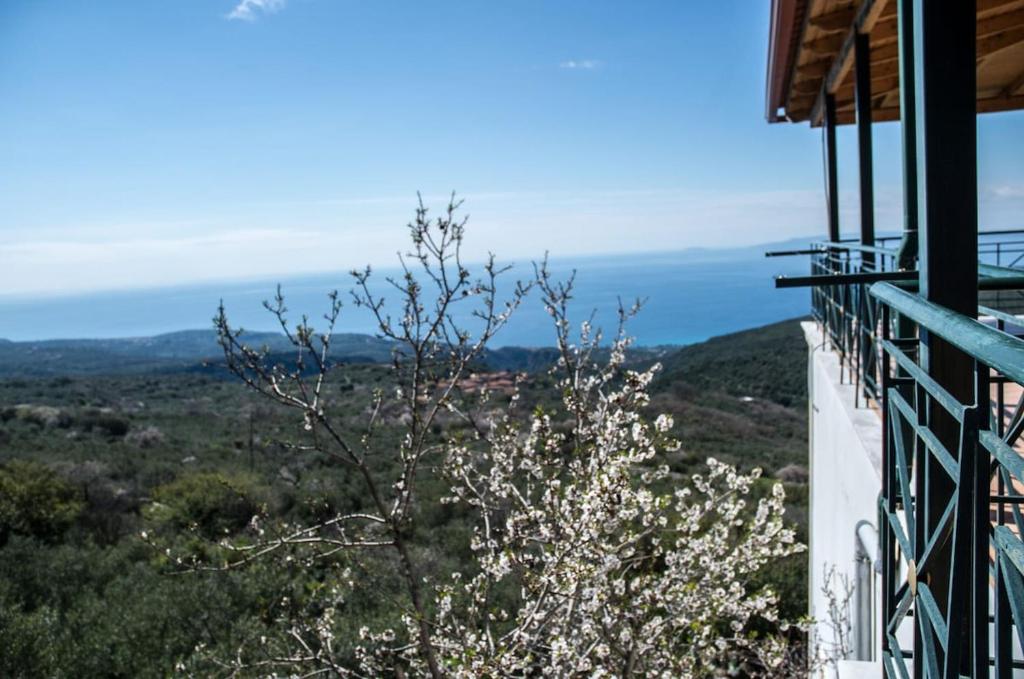 Príroda v okolí apartmánu