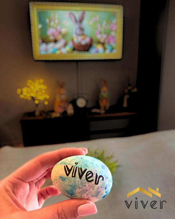 TV a/nebo společenská místnost v ubytování Apartmani Viver Vrnjačka Banja