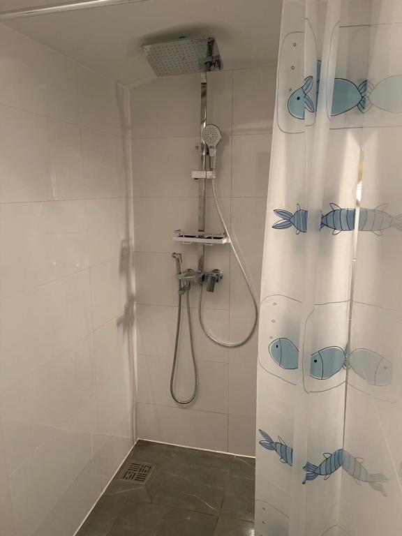 Koupelna v ubytování U Tonyho - Homestay Strakonice 1-kk