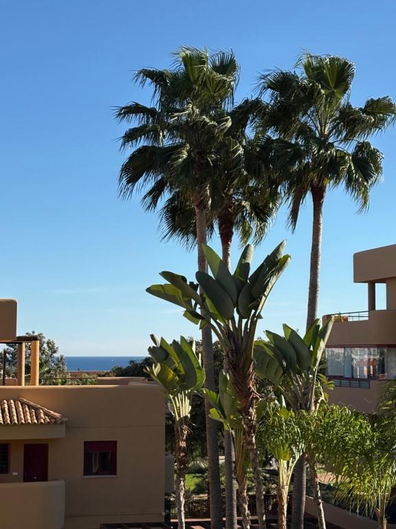 un gruppo di palme davanti a un edificio di Paraiso Cala Azul- La Cala de Mijas a La Cala de Mijas