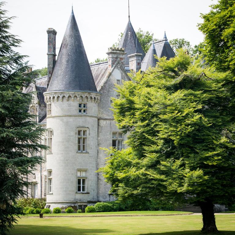 un vieux château avec un arbre en face dans l'établissement Château de Trédion, à Trédion