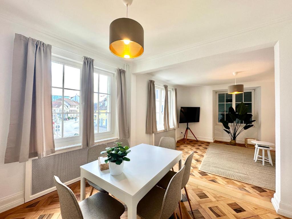 TV a/nebo společenská místnost v ubytování Business Apartment ZIMMERzuVERMIETEN in Solothurn