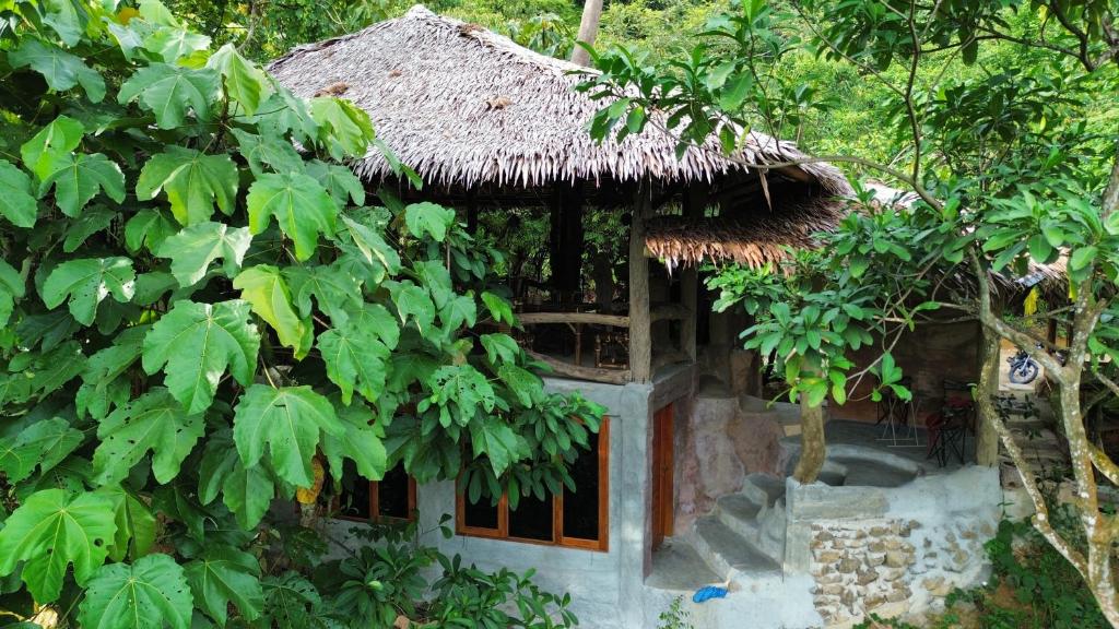 Zahrada ubytování TheJungleGuide - Lodges & Treks