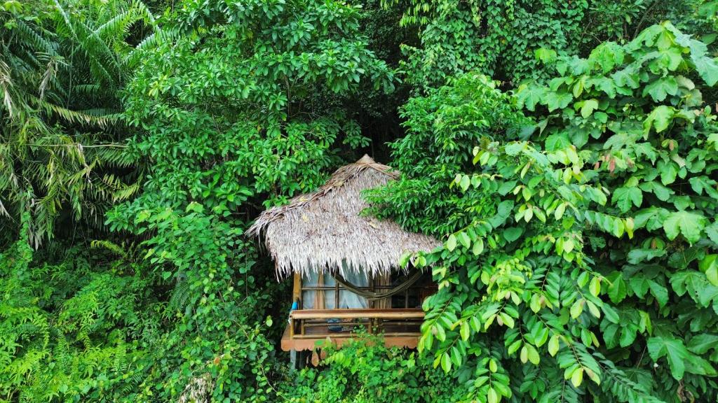 Zahrada ubytování TheJungleGuide - Lodges & Treks
