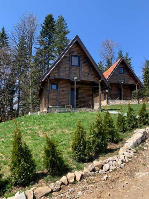 a house on a hill with trees in front of it at Nest&Rest-Vikendice Tara 2 in Sekulić 