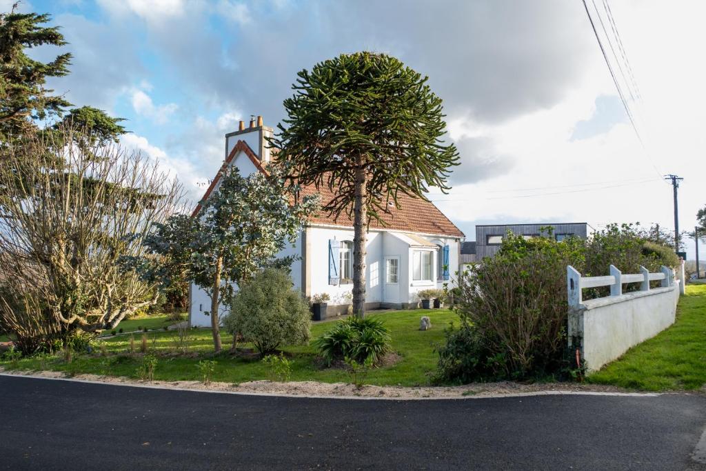 une maison blanche avec un arbre devant dans l'établissement La maison aux volets bleus à 300m de la plage, à Locquirec