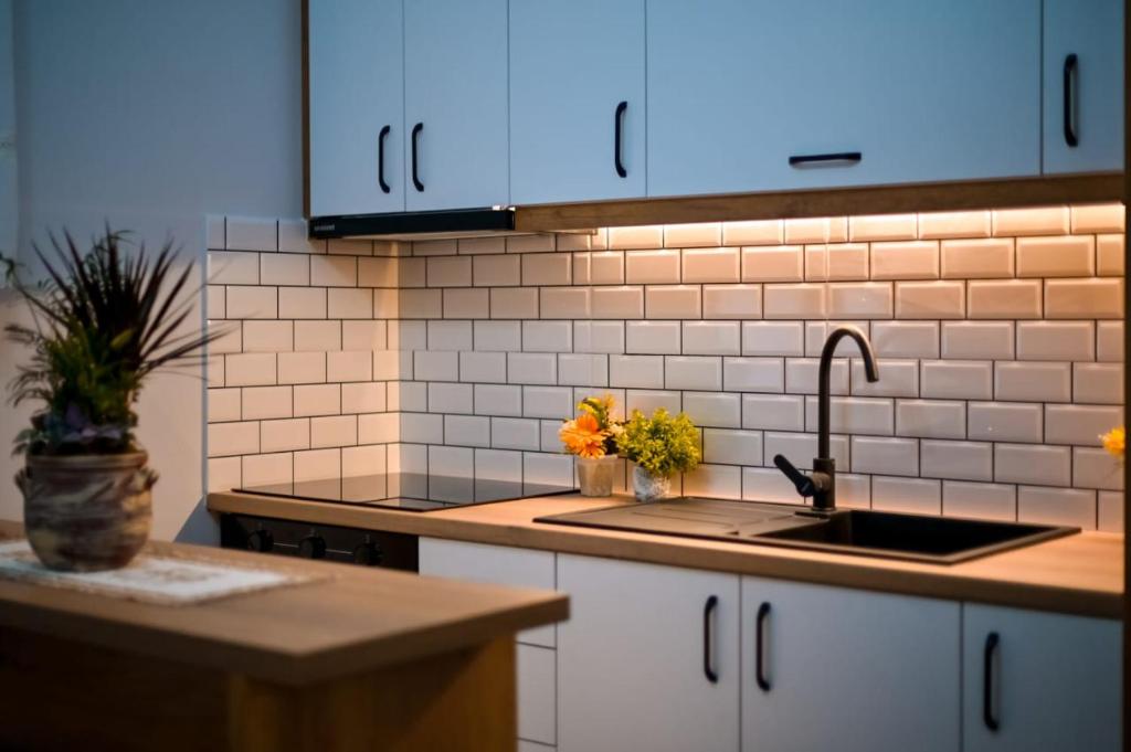 Kuchyň nebo kuchyňský kout v ubytování EGJE Apartment