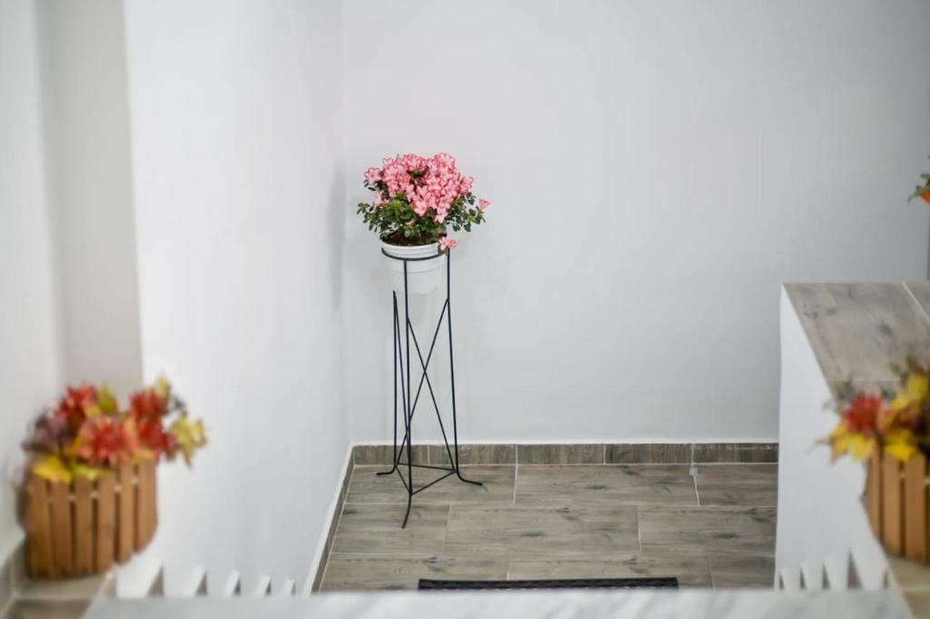 Fotografie z fotogalerie ubytování EGJE Apartment v destinaci Gjirokastër