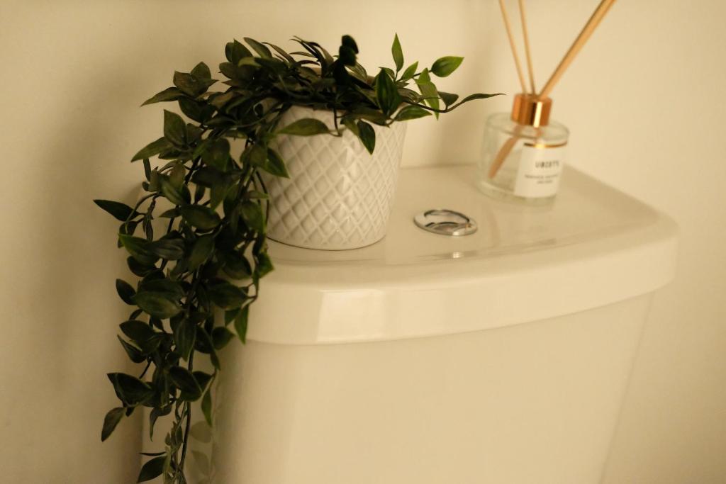 Fotografie z fotogalerie ubytování Spacious City Centre Apartment Bath v destinaci Bath