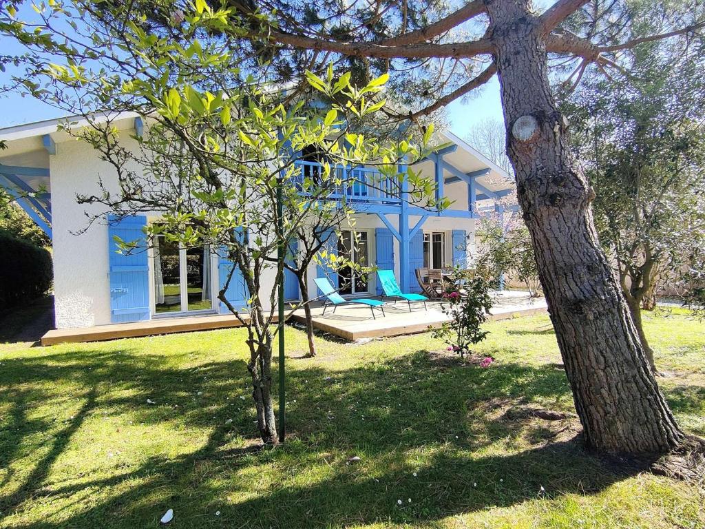 une maison bleue et blanche avec un arbre dans la cour dans l'établissement Villa rénovée avec jardin à Petit-Piquey - Proche Bassin et Océan, 3 chambres, 2 terrasses, Wi-Fi - FR-1-736-4, à Lège-Cap-Ferret