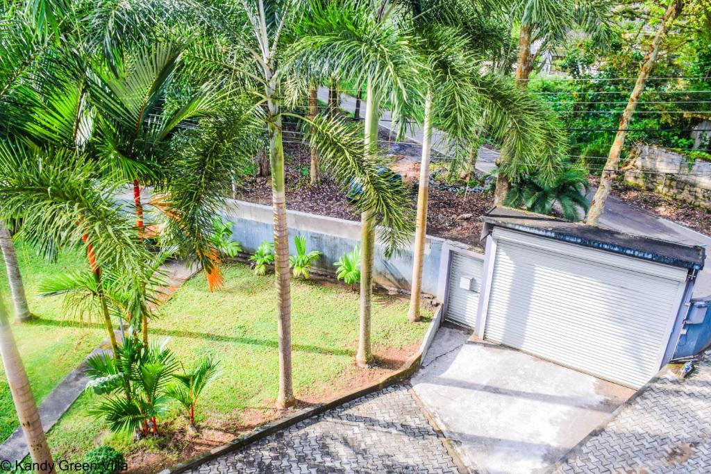 Zahrada ubytování Kandy Green Villa