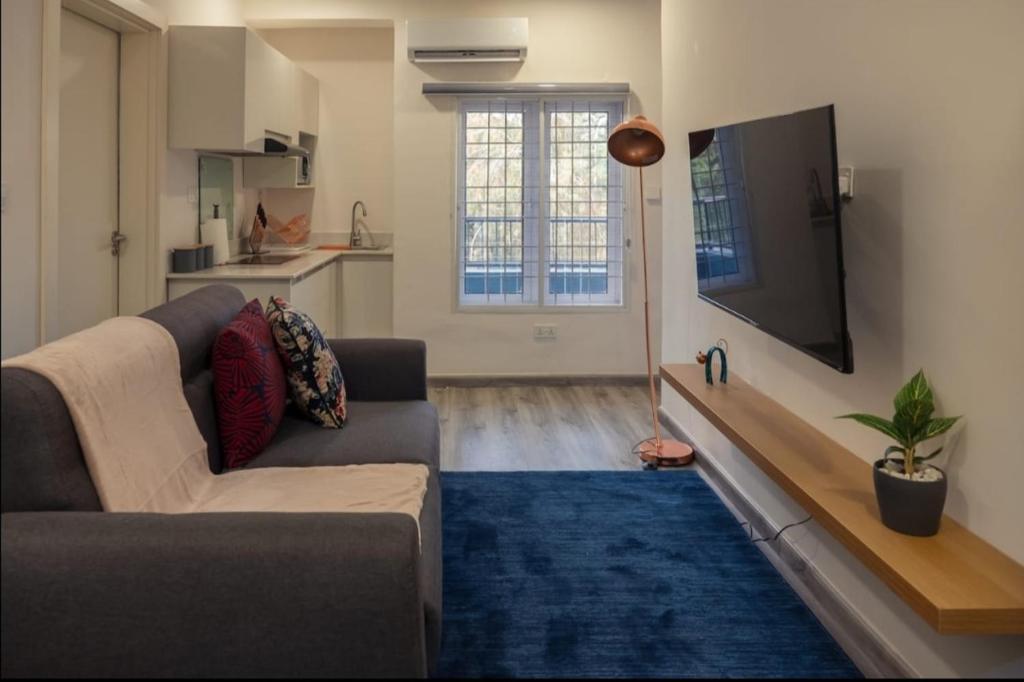 TV a/nebo společenská místnost v ubytování Yellow Door Hotels