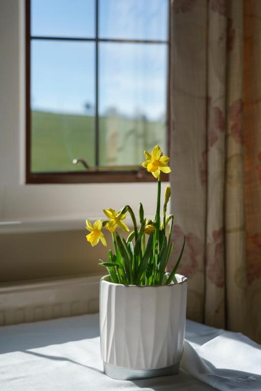 Fotografie z fotogalerie ubytování Pardon Hill Farm B&B v destinaci Cheltenham