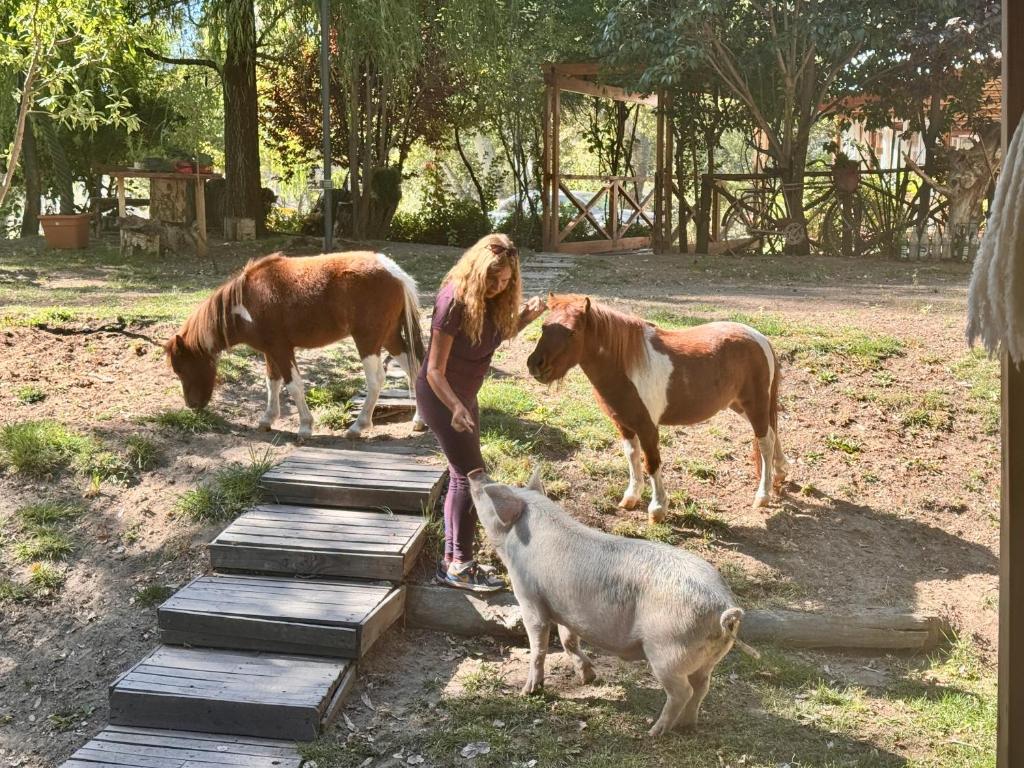 Hermosa chacra Gaiman con costa al Rio