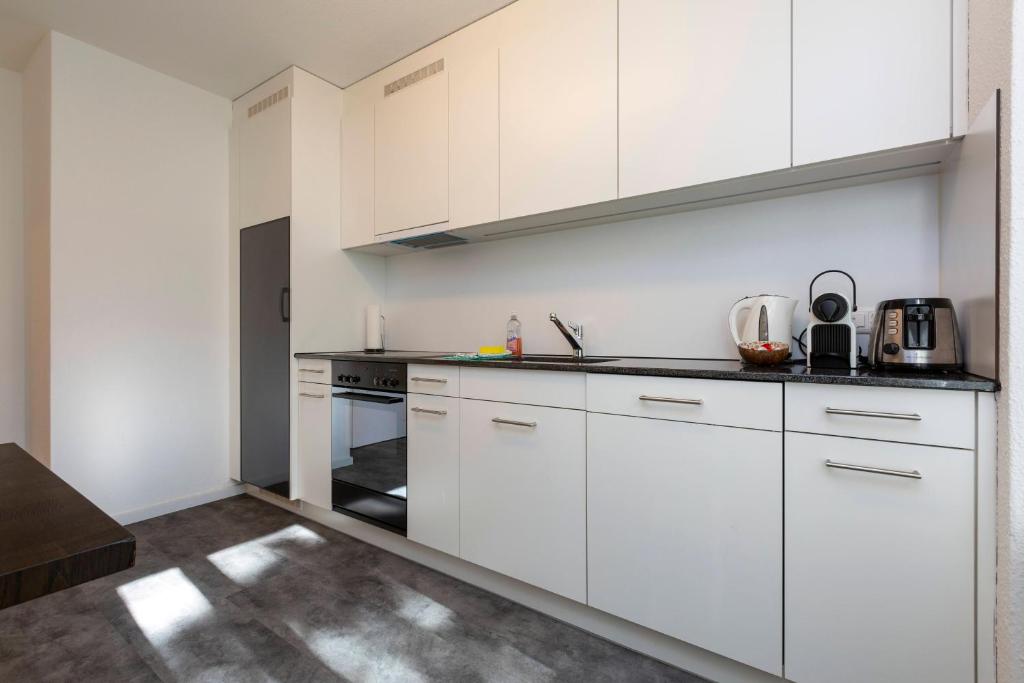Kuchyň nebo kuchyňský kout v ubytování KAYA Zurich Apartment RUBY - Downtown Deluxe 2BR Apt