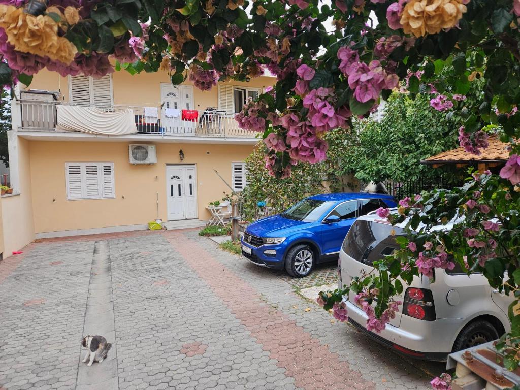 een kat naast een huis met twee auto's bij Apartment Bike Corner in Zadar