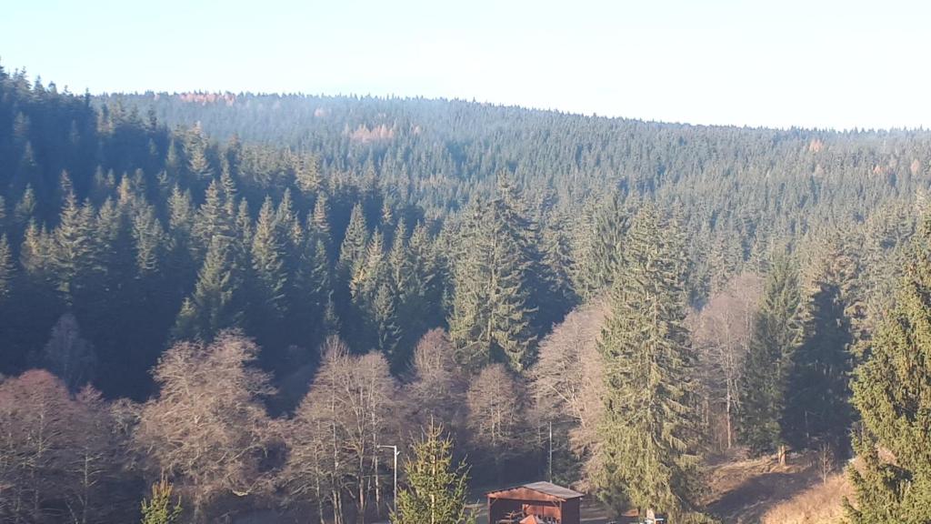 Paesaggio naturale nelle vicinanze della casa vacanze