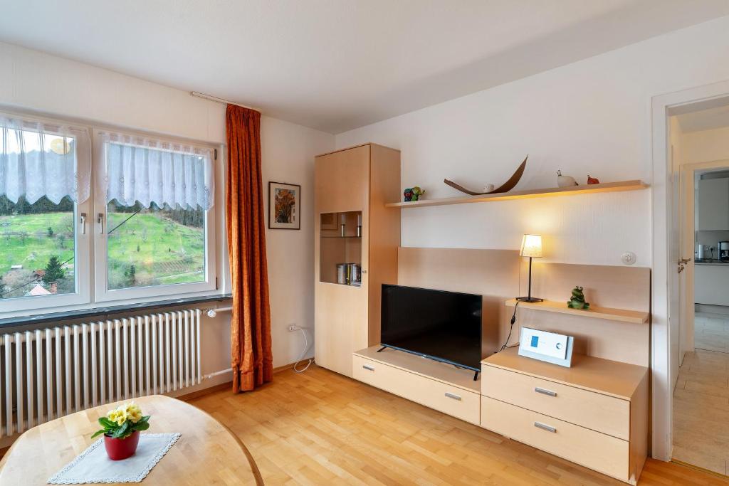 TV a/nebo společenská místnost v ubytování Haus Am Schroffen