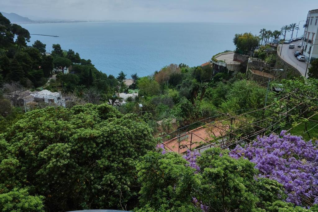 a view of a hill with trees and the ocean at Domus Antonina in Vietri sul Mare