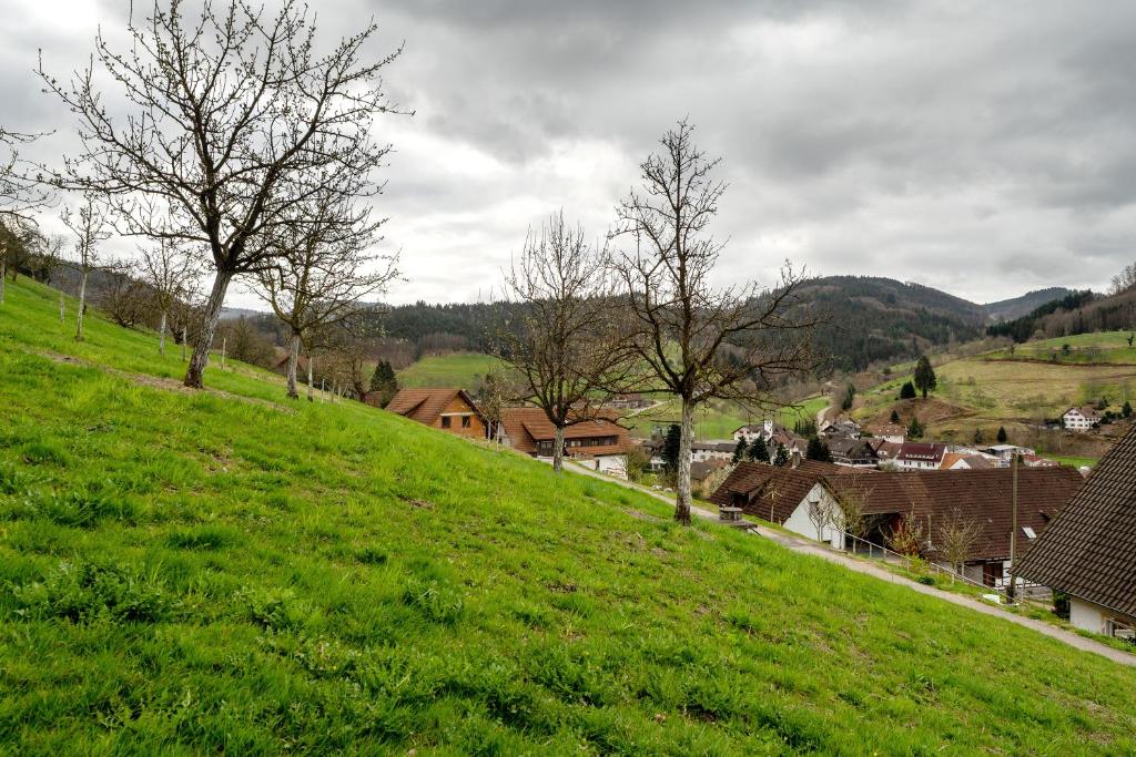 Příroda nedaleko apartmánu