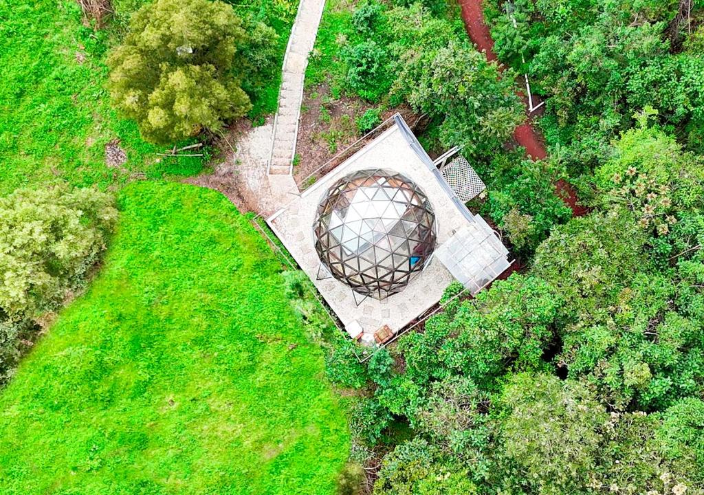 Jardí fora de Finca San Pedro